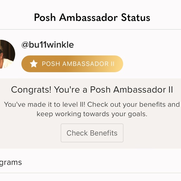 💕 POSH AMBASSADOR II 💕 - Picture 2 of 2